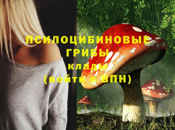 сатива Алексин