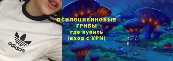 сатива Алексин
