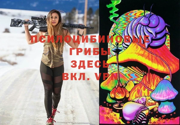 гашик Протвино